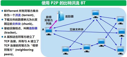 計算機網絡第六章——應用層知識總結